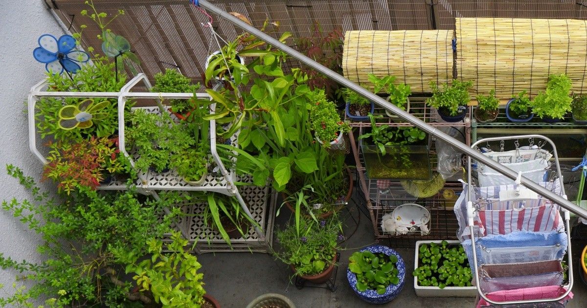 Balcony Garden Ideas for Small Spaces in India