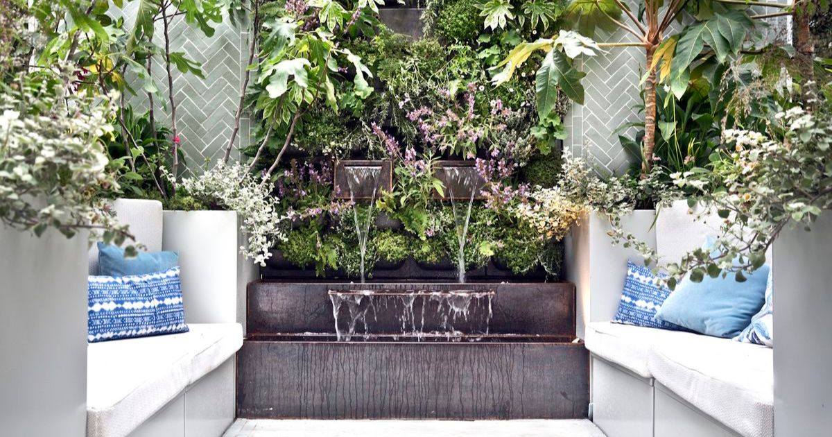 Best Plants for North-Facing Balconies in India