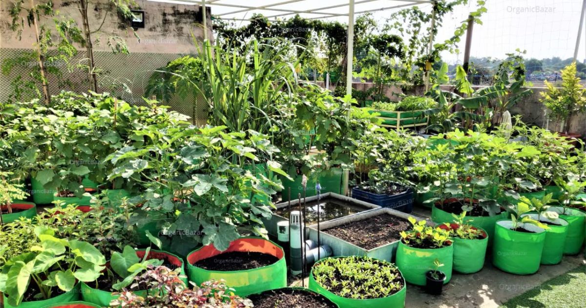 Best Grow Bags for Indian Balcony Gardening â Complete Guide