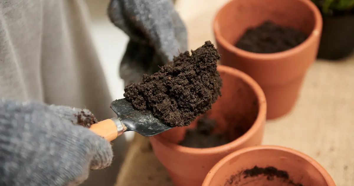 Best Soil Mix for Balcony Plants in India — Complete Guide