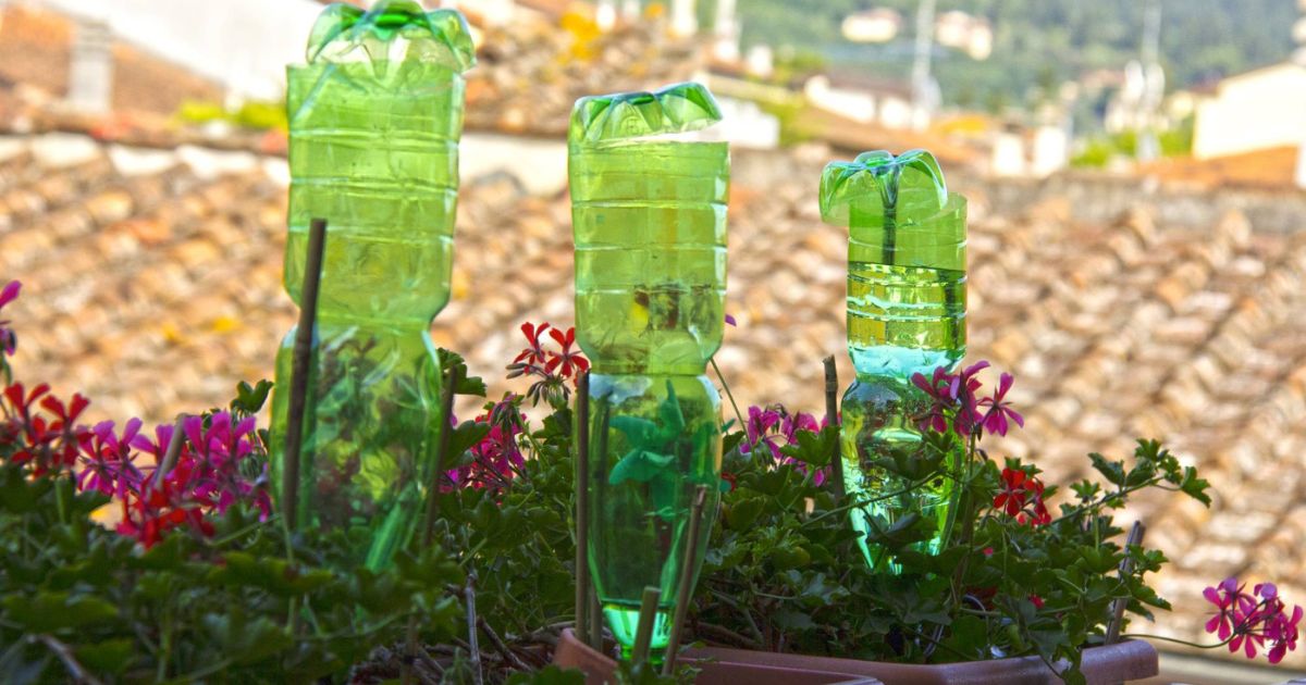 How to Keep Balcony Plants Alive During Vacation in India
