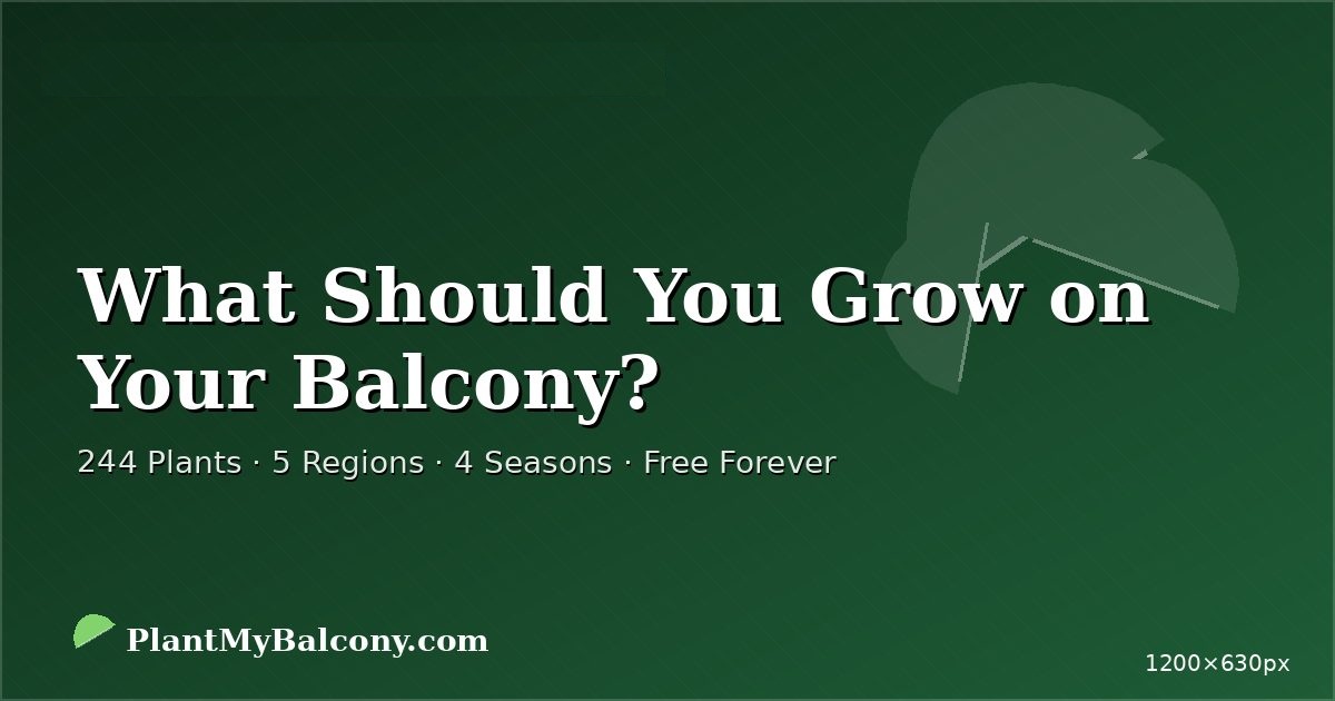 What Should You Grow on Your Balcony?