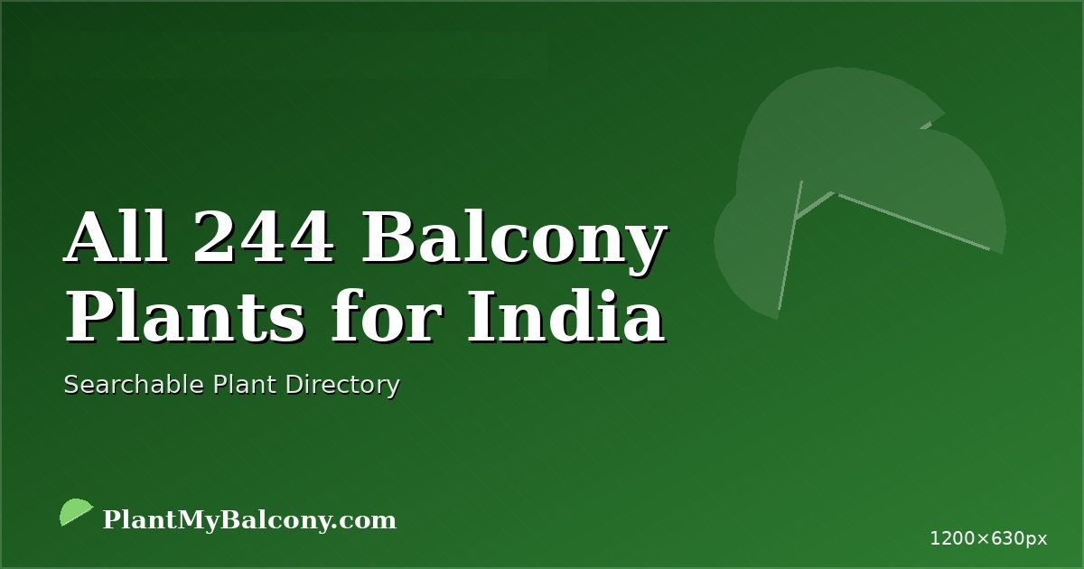 All 244 Balcony Plants for India
